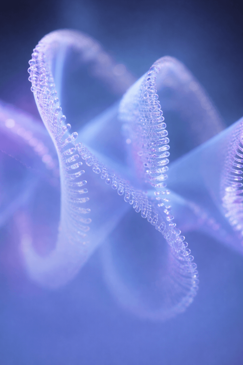 Abstract research visual for Holo Models